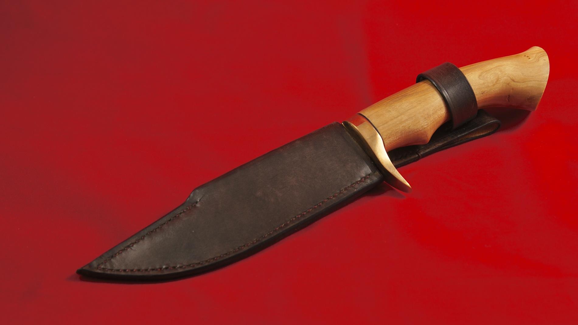 Chasse microbillé olivier